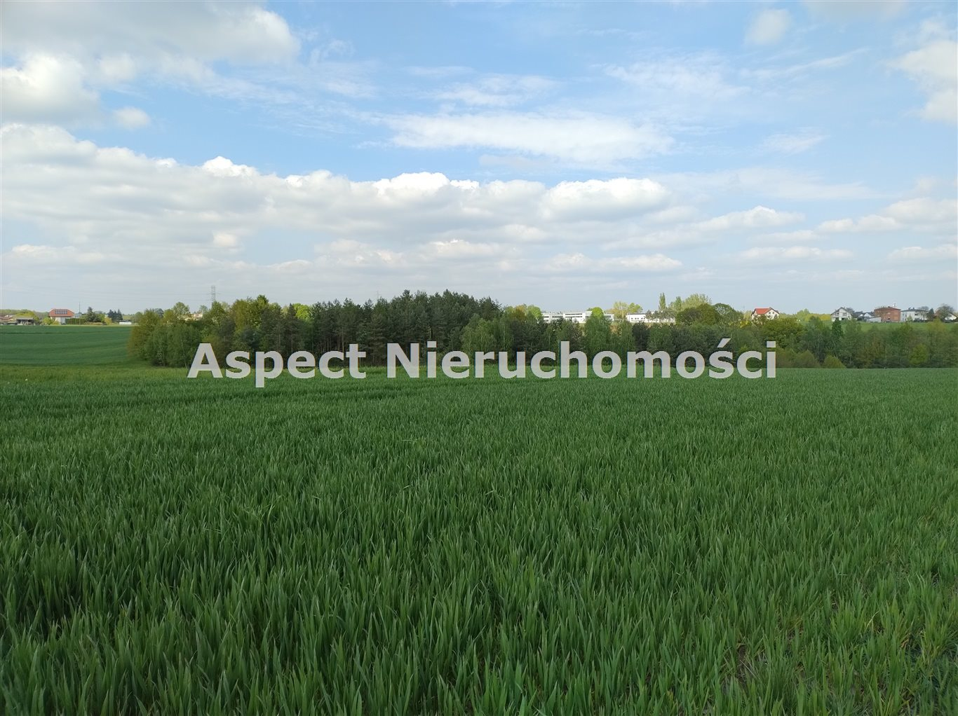 Działka 5 000,00 m², oferta nr , ASJ-GS-48543, Świerklany-idx