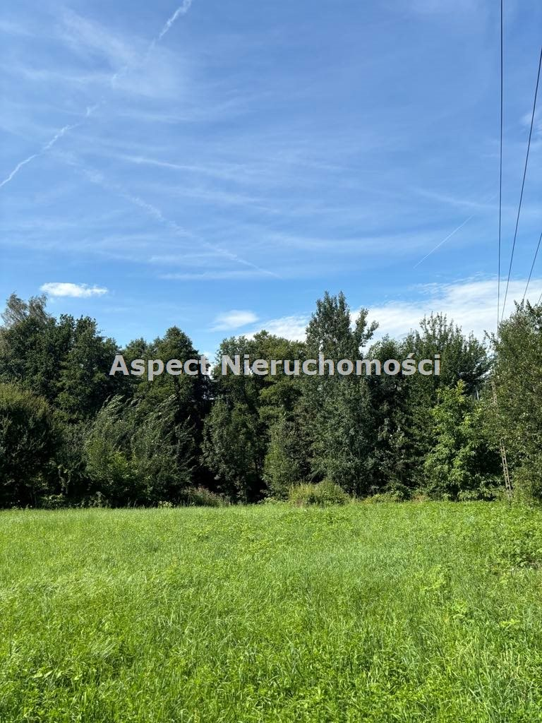 Działka 3 077,00 m², oferta nr , ASJ-GS-49113, Zebrzydowice-idx