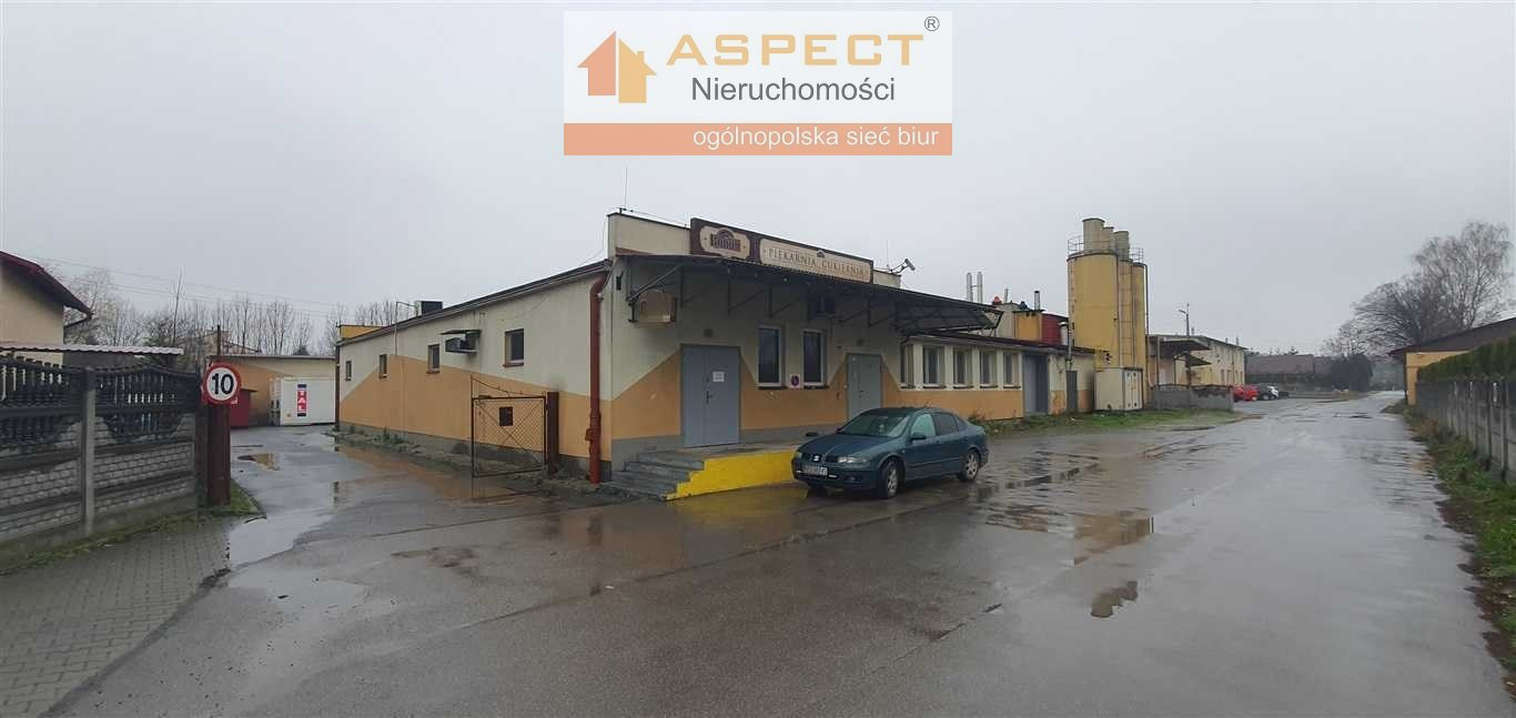 Lokal użytkowy 1 360,00 m², oferta nr , ASR-LS-45188-1, Kańczuga-idx