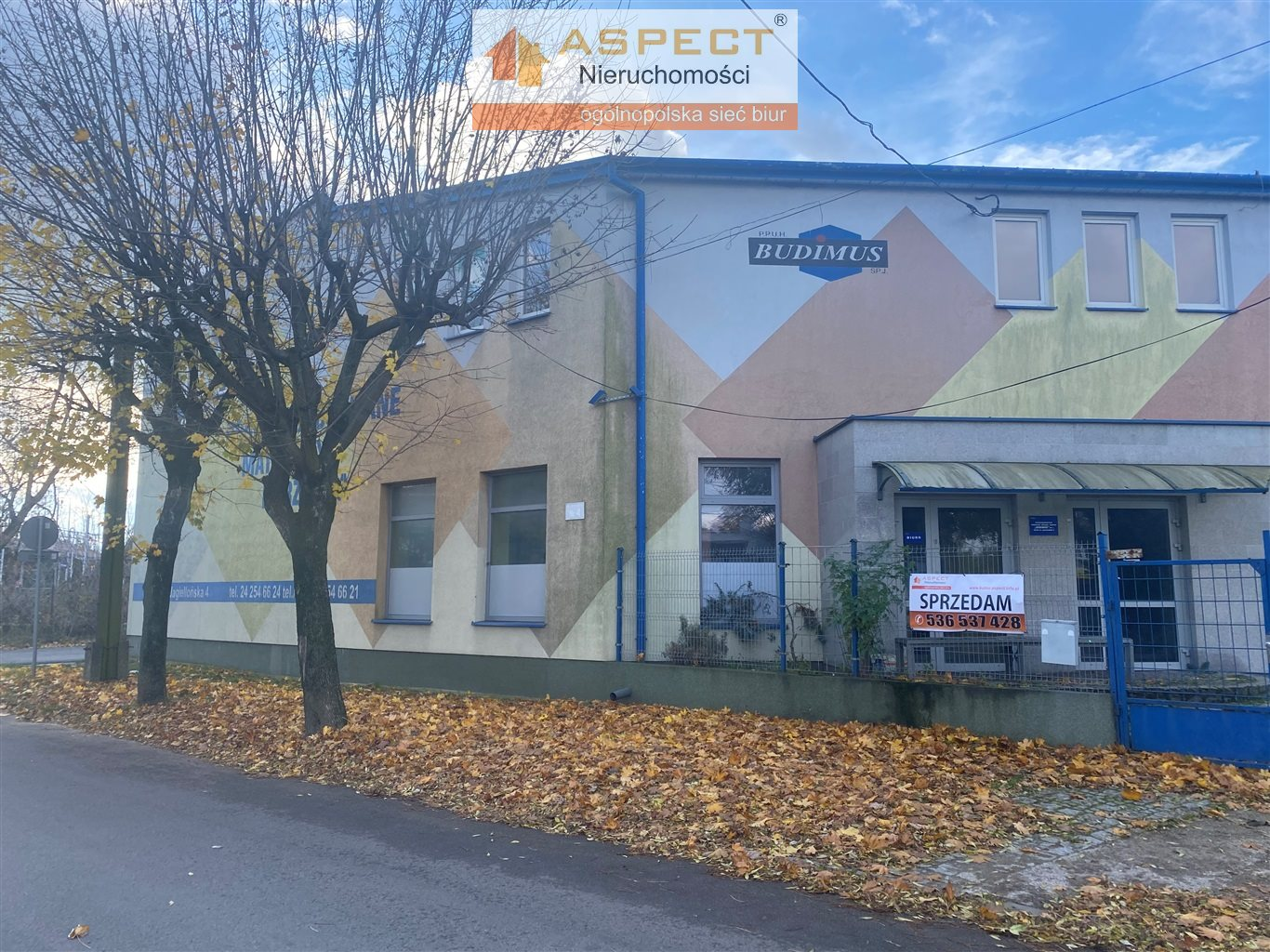 Lokal użytkowy 1 600,00 m², oferta nr , ASK-LS-47494, Kutno-idx