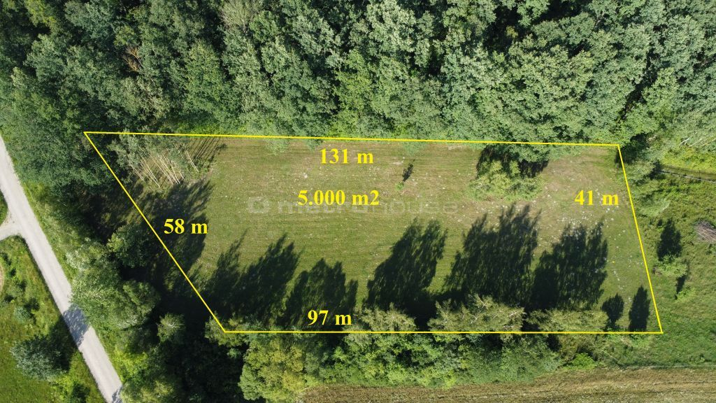 Działka 5 000,00 m², oferta nr , SGNEBA839, Ciepielin-idx