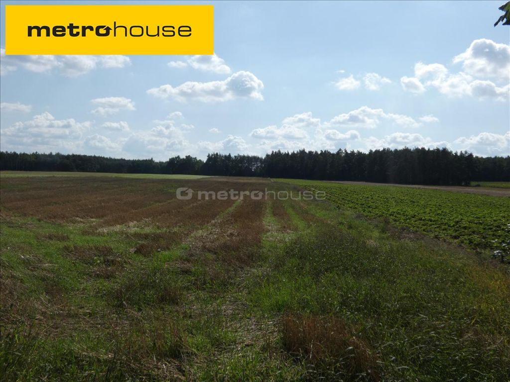 Działka 60 500,00 m², oferta nr , LOCO285, Drochowo-idx