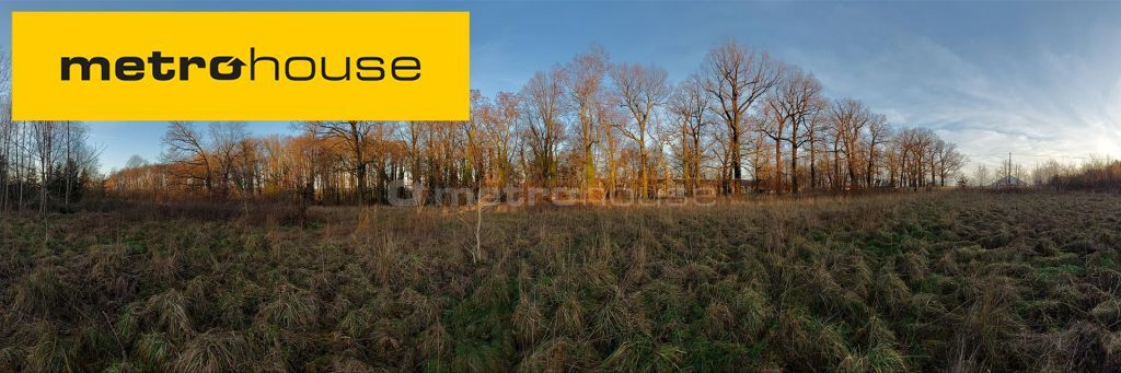 Działka 14 856,00 m², oferta nr , XEWI181, Dzietrzychowice-idx