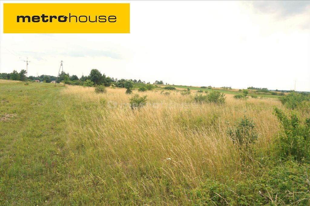 Działka 6 788,00 m², oferta nr , FANI410, Radomice-idx