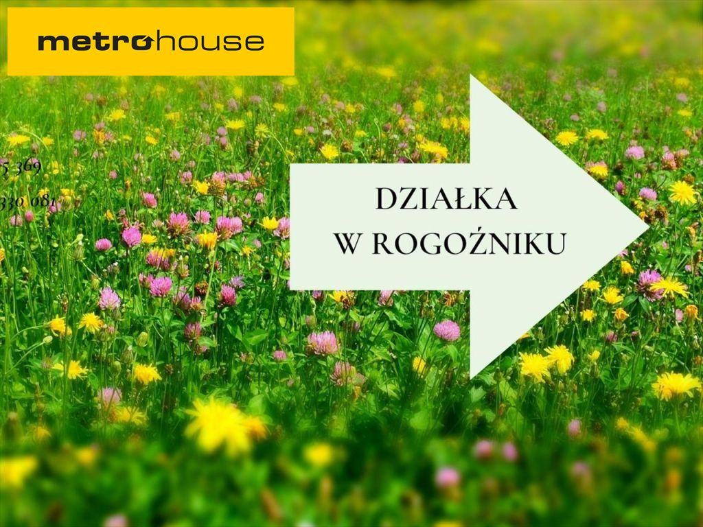 Działka 1 031,00 m², oferta nr , DONE181, Rogożnik-idx