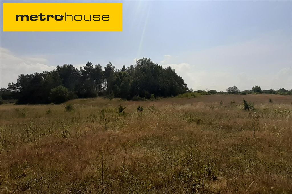 Działka 9 738,00 m², oferta nr , PABI727, Siemianice-idx