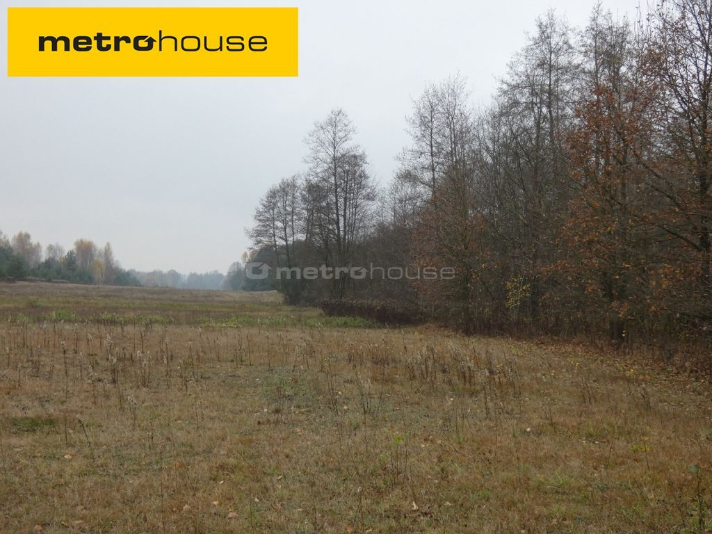 Działka 25 000,00 m², oferta nr , LAMU124, Wilków Polski-idx