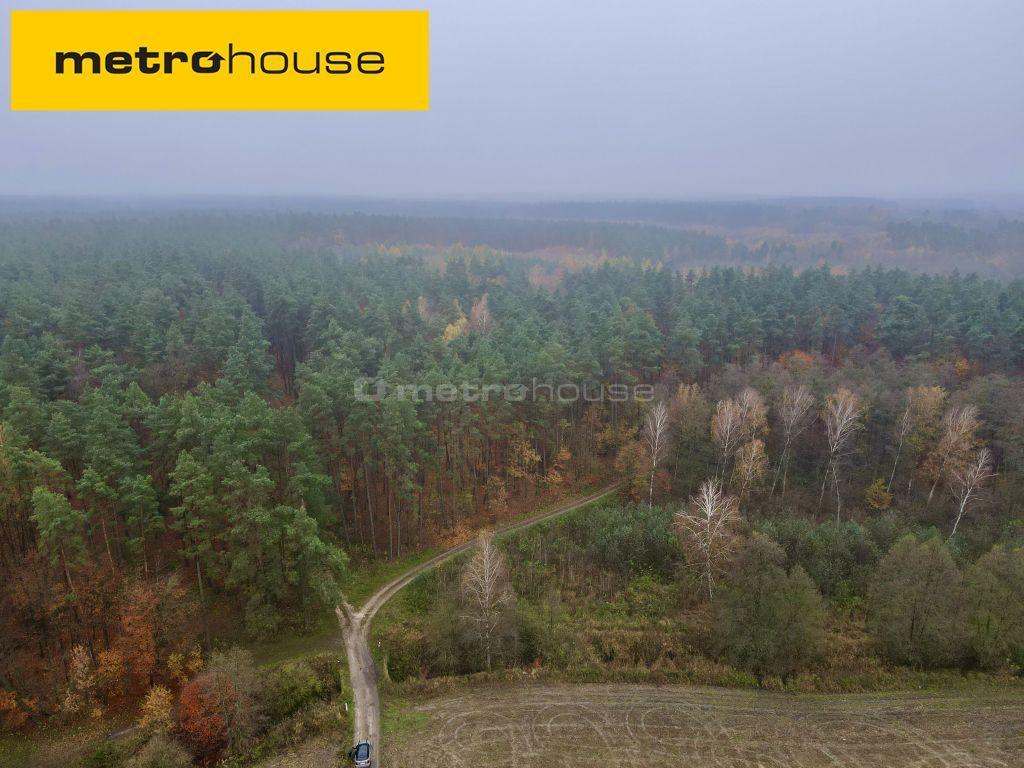 Działka 42 864,00 m², oferta nr , SGBIZO938, Wonna-idx