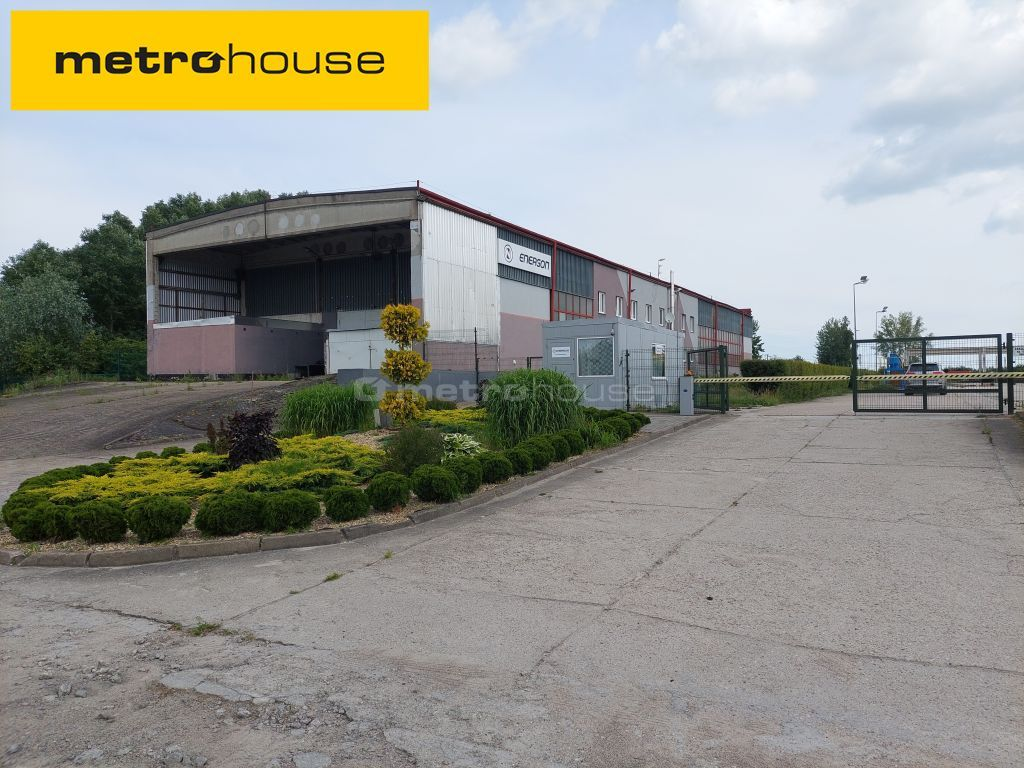 Obiekt 1 208,00 m², oferta nr , POSE174, Toruń-idx