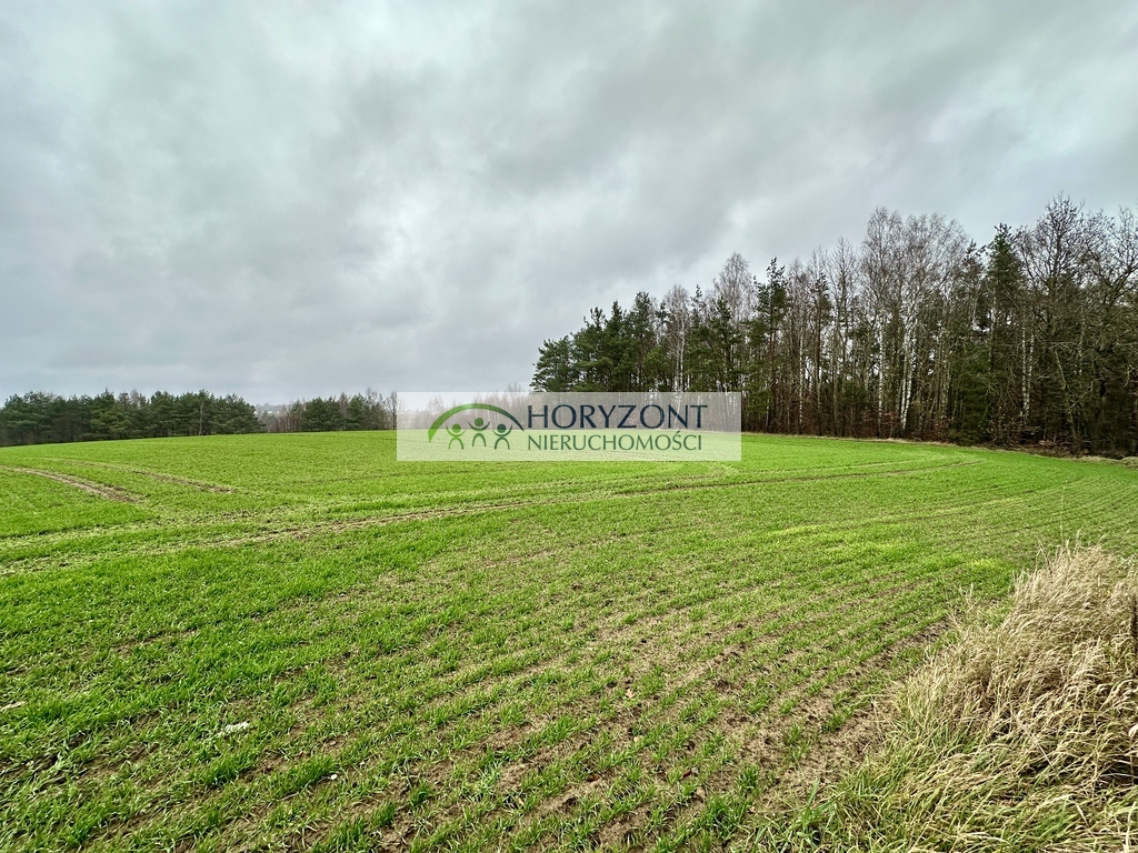 Działka 21 957,00 m², oferta nr , 5268/260/OGS, Miszewo-idx