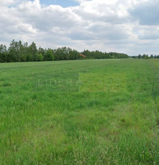 Działka 1 000,00 m², oferta nr , 5760/2145/OGS, Cybulice Małe-idx