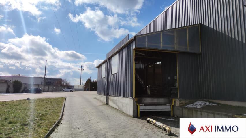 Magazyn 3 839,00 m², oferta nr , 7832, Izabelin-idx