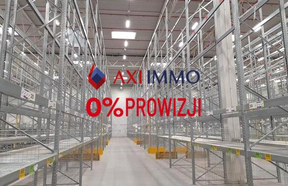 Magazyn 10 000,00 m², oferta nr , 8904, Lędziny-idx