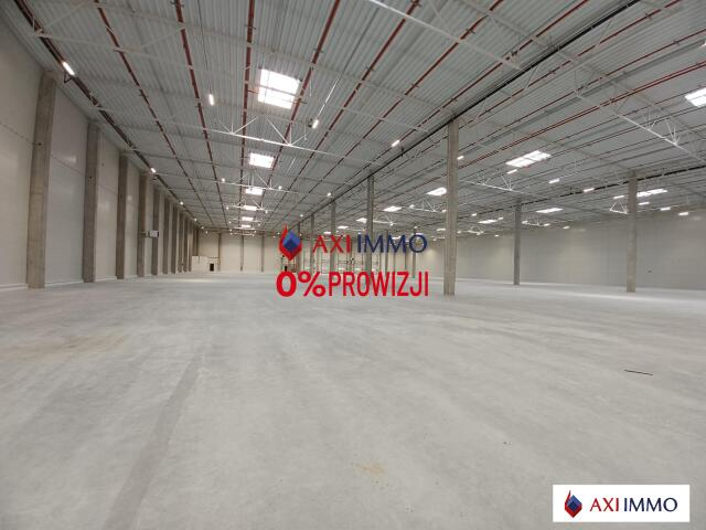 Magazyn 3 000,00 m², oferta nr , 8516, Łódź, Widzew, Widzew-idx