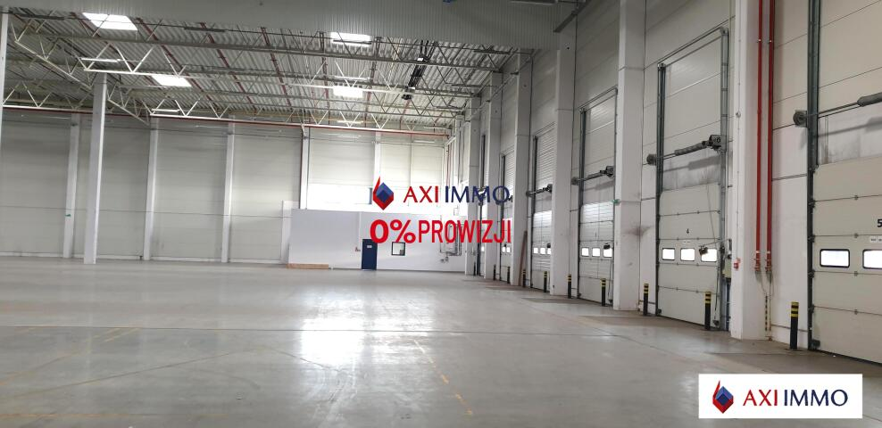 Magazyn 10 000,00 m², oferta nr , 8585, Łódź, Widzew, Widzew-idx