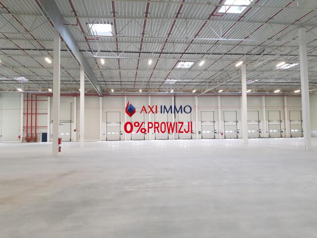 Magazyn 5 000,00 m², oferta nr , 8921, Łódź, Widzew, Widzew-idx