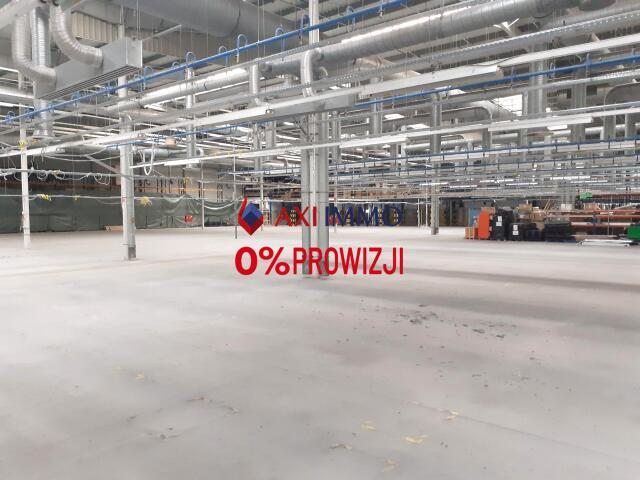 Magazyn 10 000,00 m², oferta nr , 8925, Łódź, Widzew, Widzew-idx