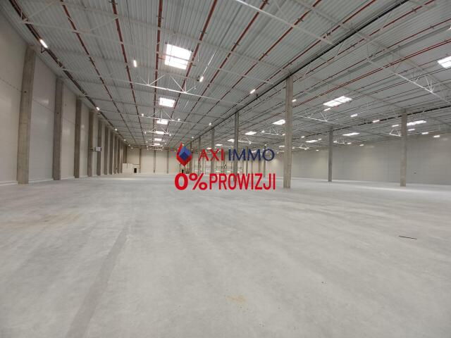 Magazyn 3 000,00 m², oferta nr , 8952, Łódź, Widzew, Widzew-idx