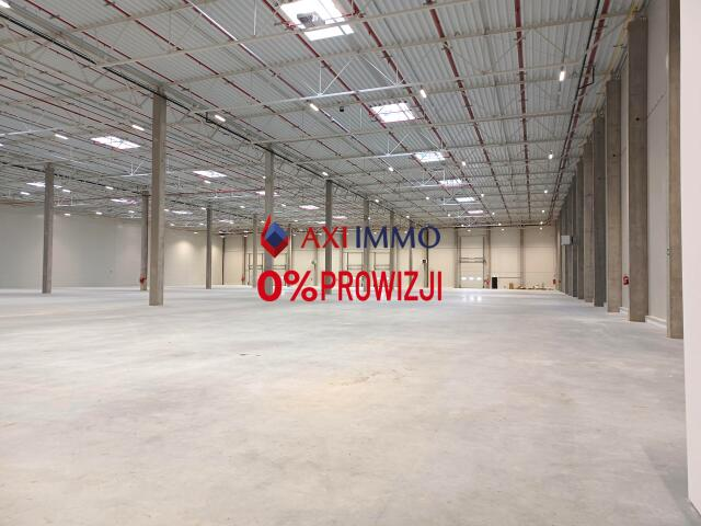 Magazyn 15 000,00 m², oferta nr , 8909, Pabianice-idx