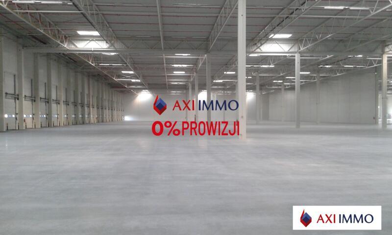 Magazyn 6 885,00 m², oferta nr , 8743, Plewiska-idx