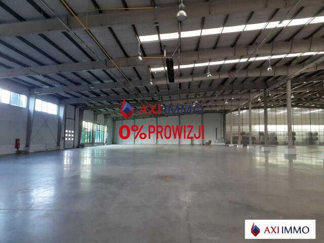 Magazyn 7 650,00 m², oferta nr , 8631, Rzgów-idx