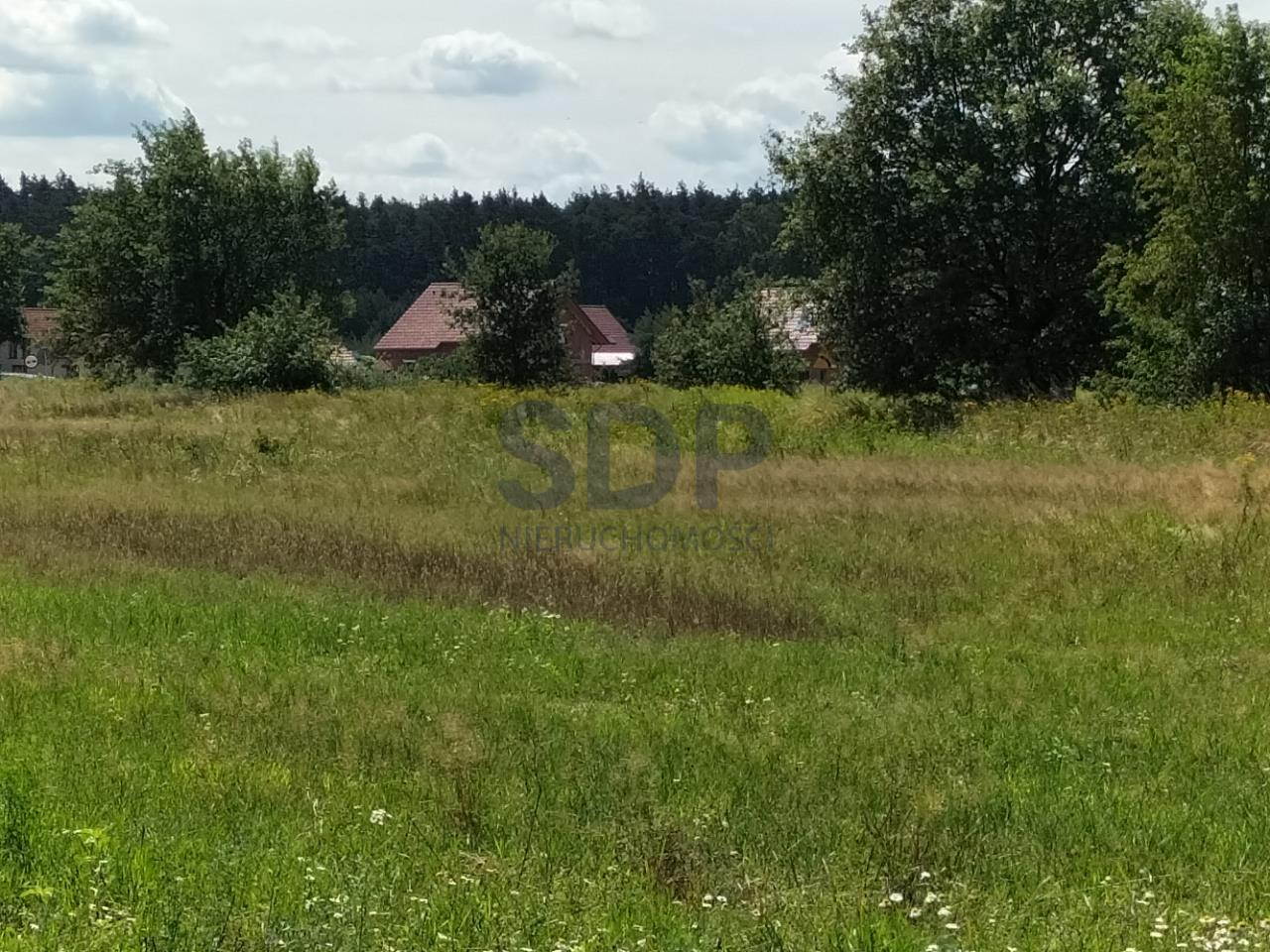 Działka 12 554,00 m², oferta nr , 31842, Siedlce-idx