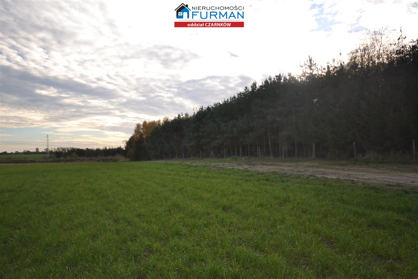 Działka 33 856,00 m², oferta nr , FCZ-GS-192955, Lubasz-idx