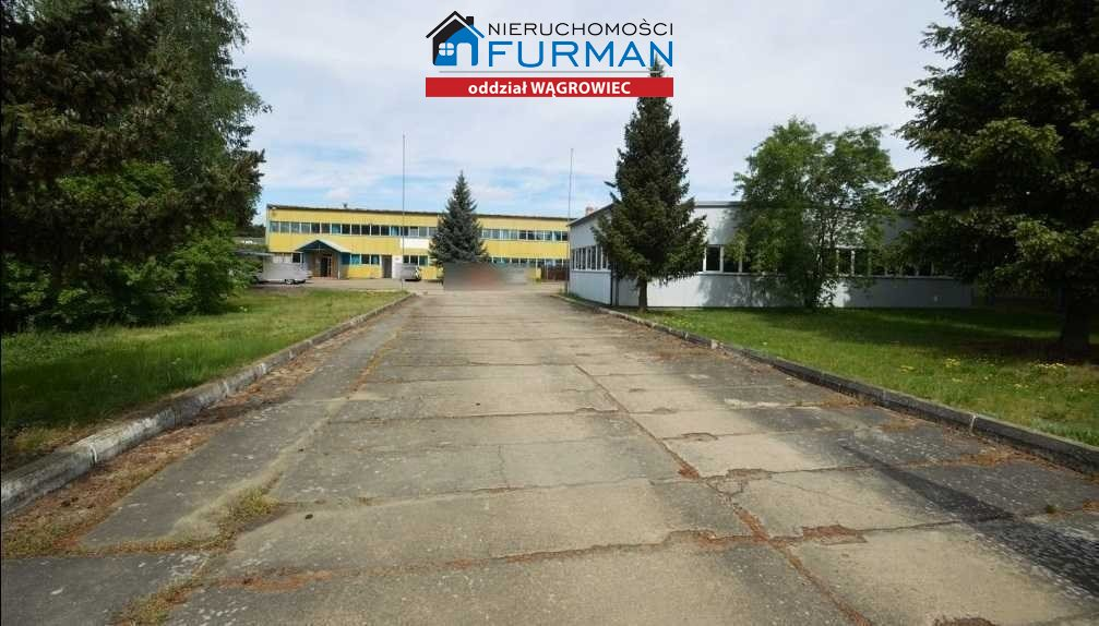 Magazyn 1 291,00 m², oferta nr , FWR-HS-197019, Wągrowiec-idx