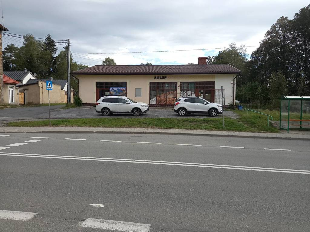 Lokal użytkowy 1 119,99 m², oferta nr , 9876/3186/OOS, Domaszków, Międzyleska-idx