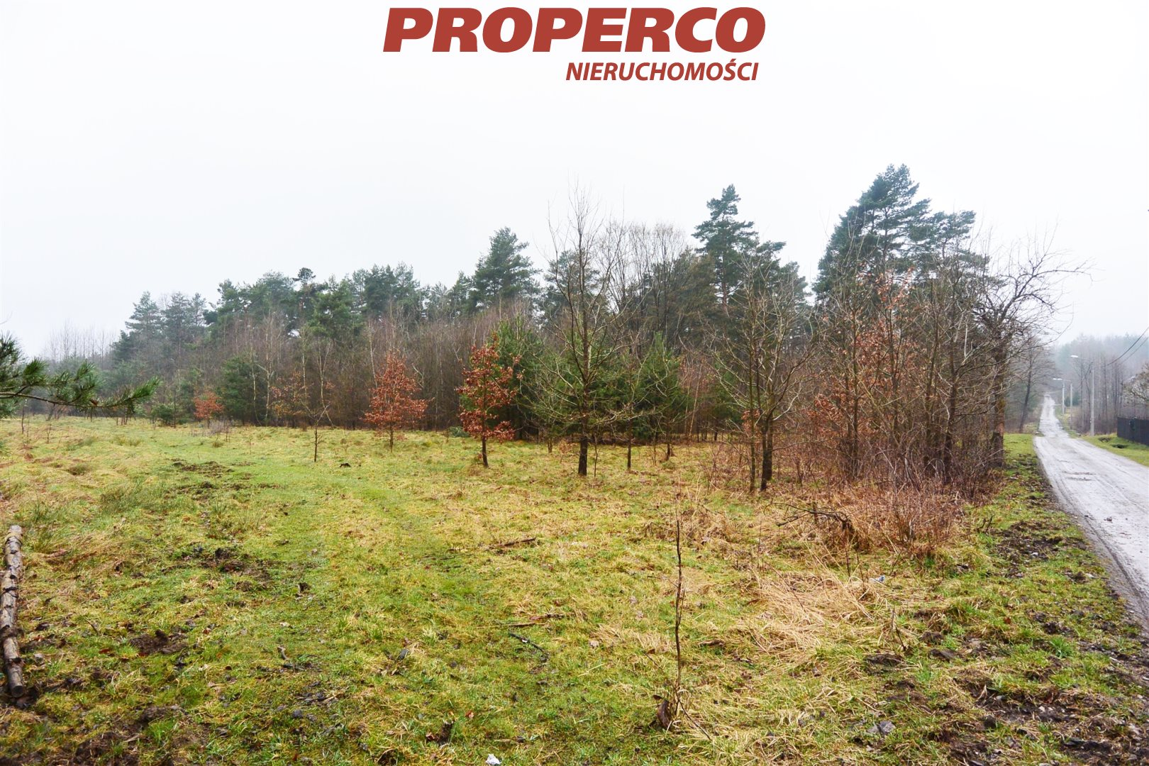 Działka 6 995,00 m², oferta nr , PRP-GS-72018, Bliżyn-idx