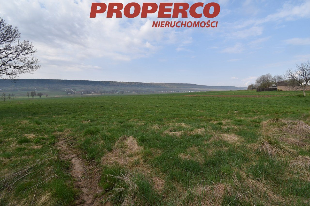 Działka 16 900,00 m², oferta nr , PRP-GS-69021, Bodzentyn-idx