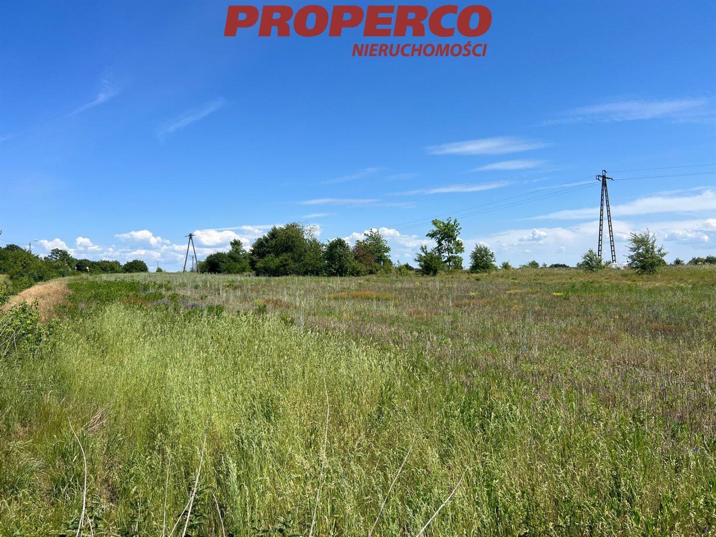 Działka 5 167,00 m², oferta nr , PRP-GS-73331, Jędrzejów-idx