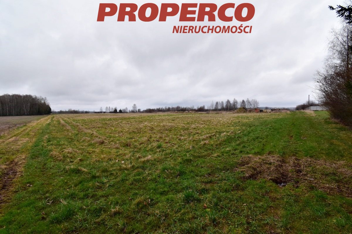 Działka 21 600,00 m², oferta nr , PRP-GS-73437, Mniów-idx