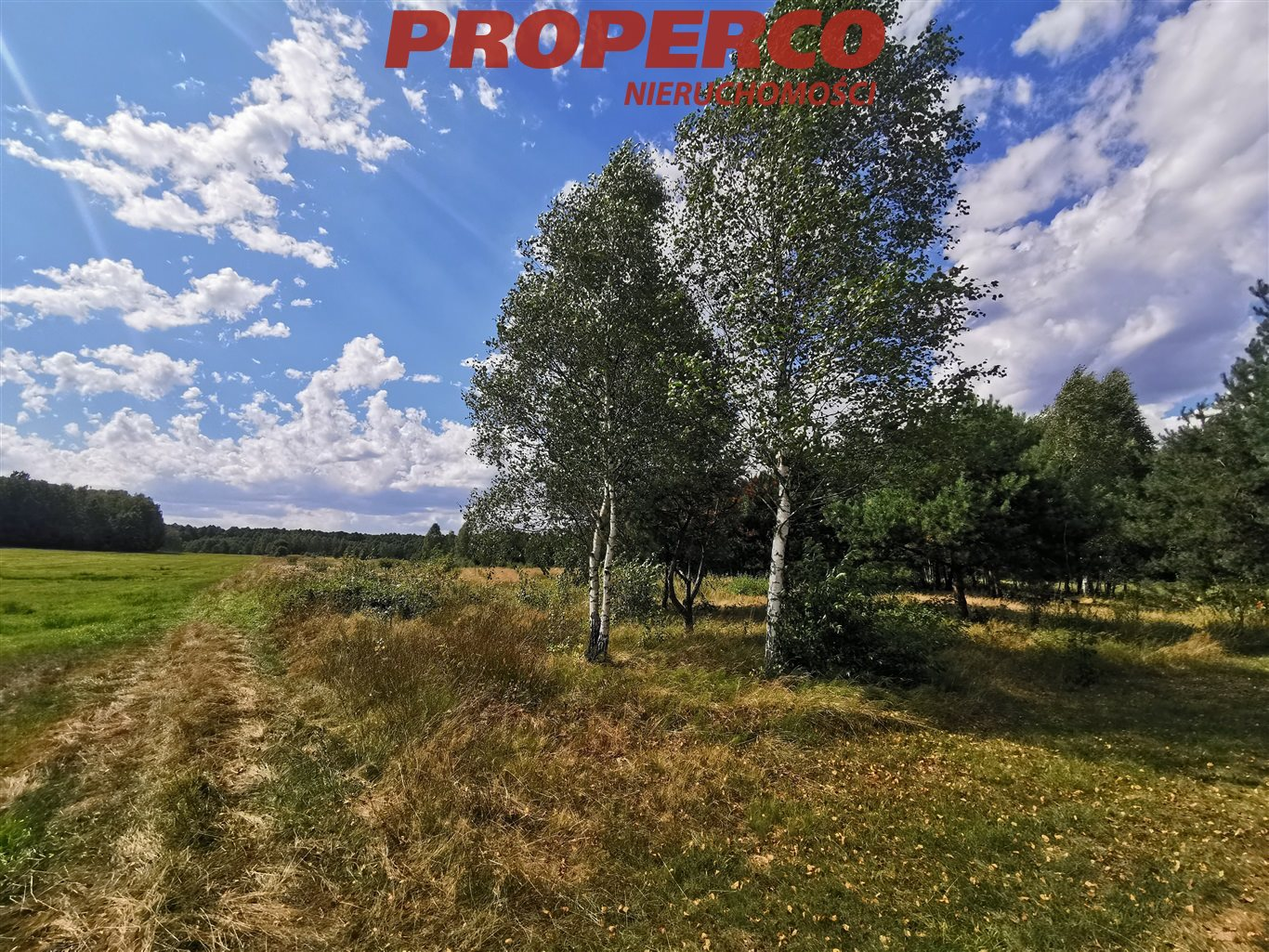 Działka 7 233,00 m², oferta nr , PRP-GS-65787, Pierzchnica-idx