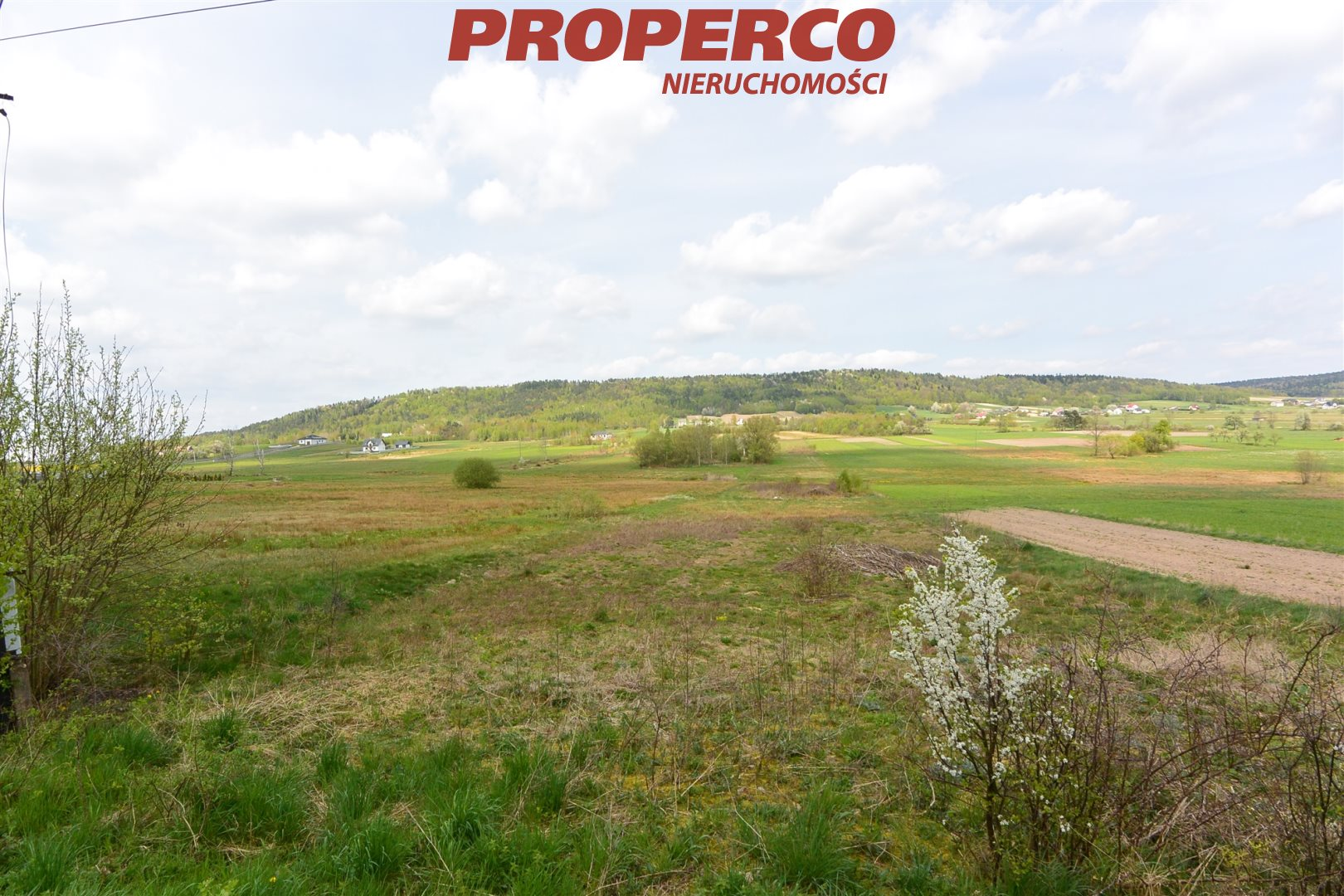 Działka 16 600,00 m², oferta nr , PRP-GS-73167, Raków-idx