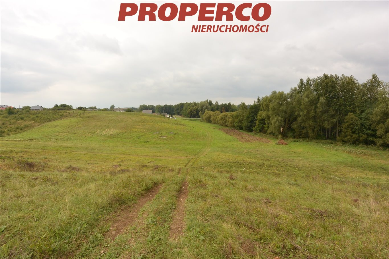 Działka 24 300,00 m², oferta nr , PRP-GS-65174-2, Morawica, Wspólna-idx