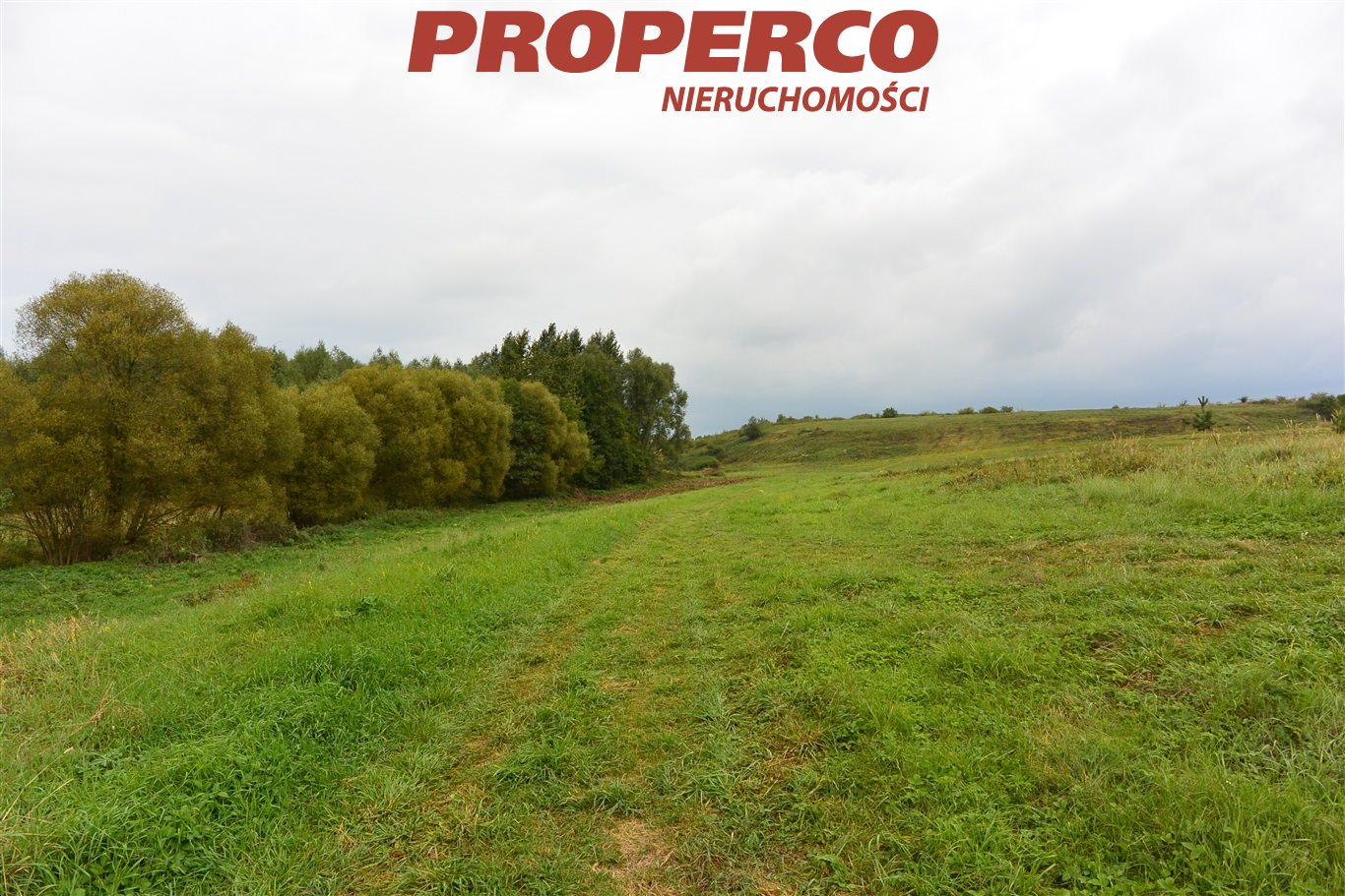 Działka 19 700,00 m², oferta nr , PRP-GS-65173-2, Morawica, Wspólna-idx