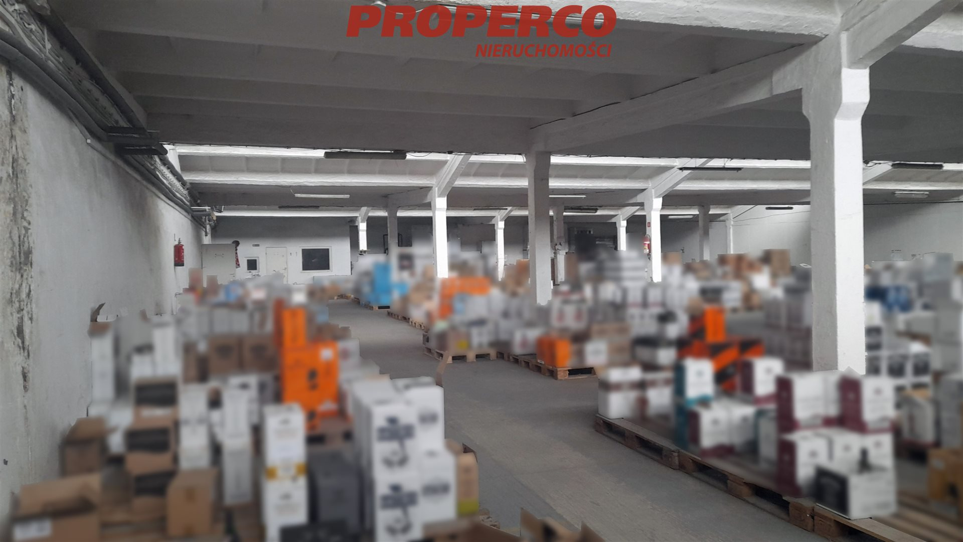 Magazyn 600,00 m², oferta nr , PRP-HW-74187, Kielce-idx