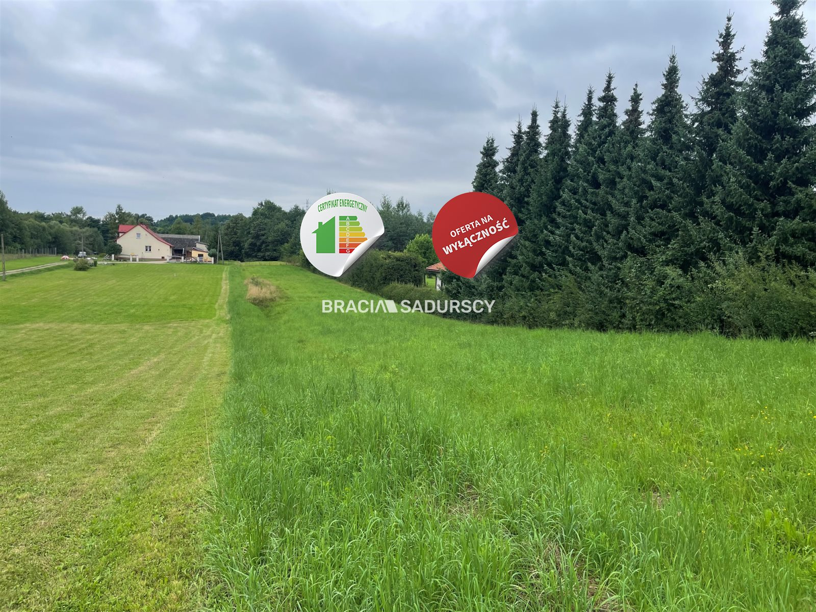 Działka 5 208,00 m², oferta nr , BS2-GS-295903-8, Radziszów, Podlesie-idx