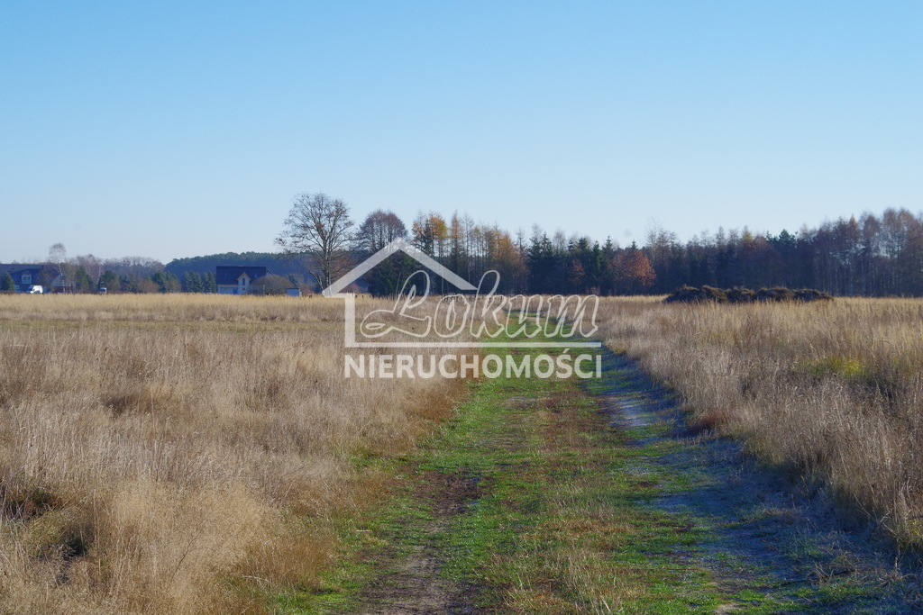 Działka 1 245,00 m², oferta nr , LOK21532, Niedźwiedź-idx