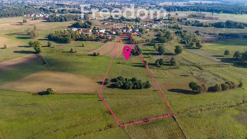 Działka 28 300,00 m², oferta nr , 9009/3685/OGS, Borki, Błękitna-idx