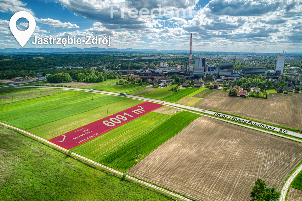 Działka 6 091,00 m², oferta nr , 9146/3685/OGS, Jastrzębie-Zdrój, Dębina-idx