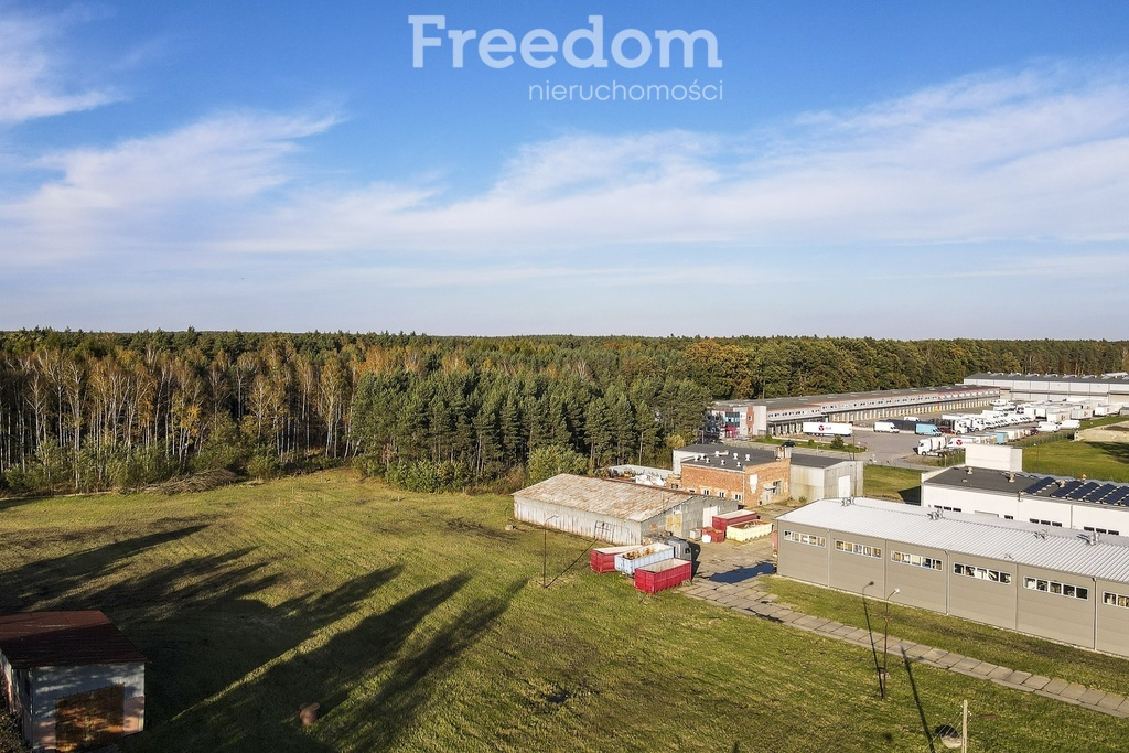 Działka 10 000,00 m², oferta nr , 23/3685/OGW, Głogów Małopolski, Pod Borem-idx