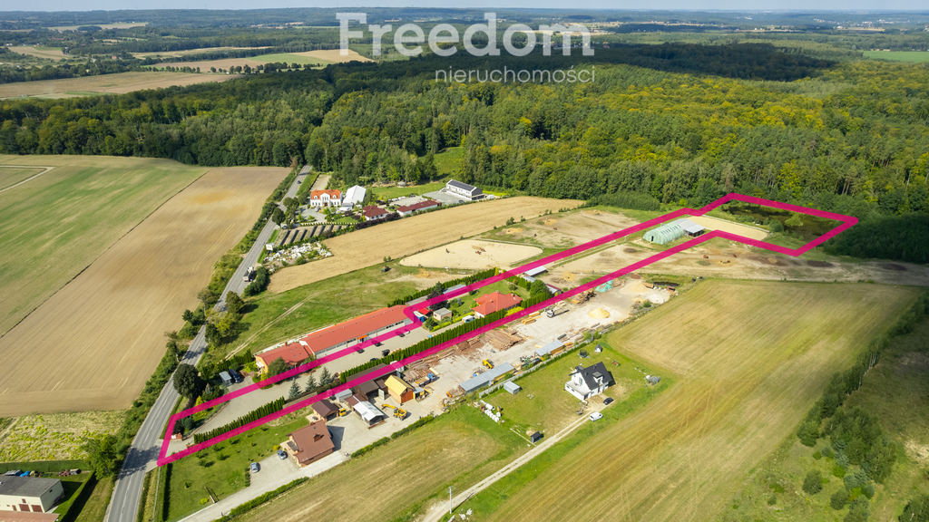 Działka 16 476,00 m², oferta nr , 9176/3685/OGS, Kleszczewo, Północna-idx