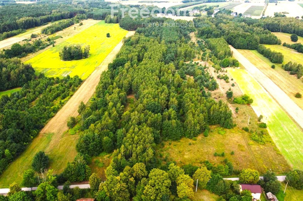 Działka 36 600,00 m², oferta nr , 8575/3685/OGS, Strzebula-idx