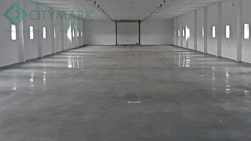 Magazyn 1 056,00 m², oferta nr , 78328, Nowy Prażmów-idx