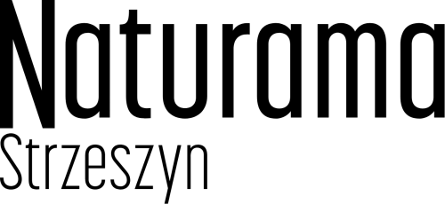 9312537