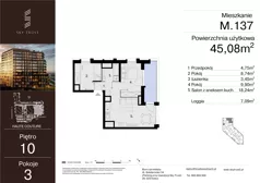 3 pokoje, mieszkanie 45,08 m², piętro 10, oferta nr M.137, Sky Trust III, Kielce, Bocianek, al. Solidarności 32 B
