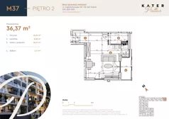 1 pokój, mieszkanie 36,37 m², piętro 2, oferta nr 37, KATER Pallas, Kielce, Centrum, ul. Śniadeckich 33