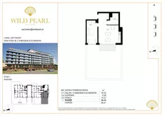 2 pokoje, lokal inwestycyjny 54,10 m², parter, oferta nr 6, Wild Pearl, Kołobrzeg, ul. Jedności Narodowej 12D i 12 E